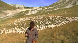 Mouton_2_0